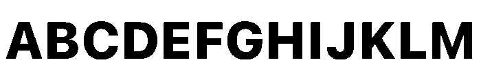 SF Pro Text Heavy Font UPPERCASE