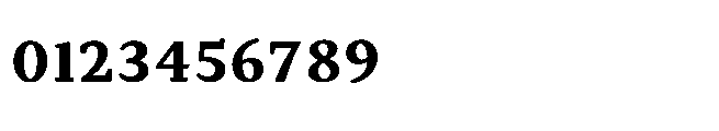 SF Nishan Bold Font OTHER CHARS