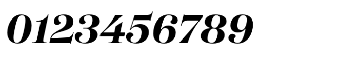 SFT Schrifted Serif Display Bold Italic Font OTHER CHARS