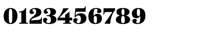 SFT Schrifted Serif Subhead Black Font OTHER CHARS