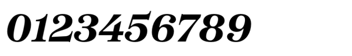 SFT Schrifted Serif Subhead Bold Italic Font OTHER CHARS