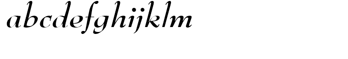 SG Bernhard Modern SB Bold Italic Font LOWERCASE