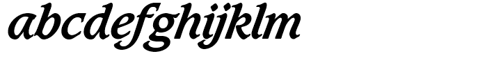 SG Caxton SH Bold Italic Font LOWERCASE