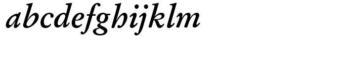 SG Garamond SB Medium Italic Font LOWERCASE