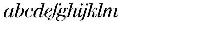 SG Walbaum SH Italic Font LOWERCASE