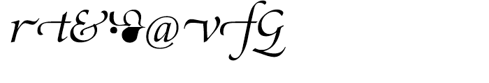 SG Zapf Renaissance Antiqua SH Book Italic Swashed Font OTHER CHARS