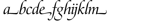 SG Zapf Renaissance Antiqua SH Book Italic Swashed Font LOWERCASE