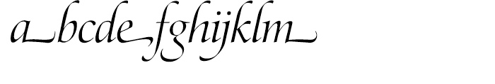 SG Zapf Renaissance Antiqua SH Light Italic Swashed Font LOWERCASE