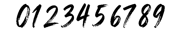 Shafikon Script Regular Font OTHER CHARS