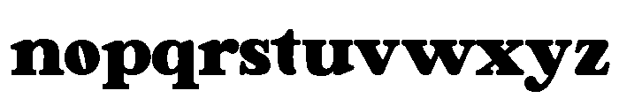 Shafikon Serif Regular Font LOWERCASE