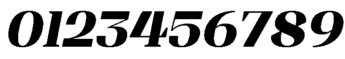 Shapfly Black Italic Font OTHER CHARS