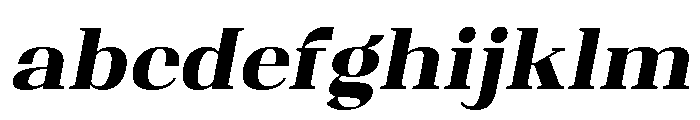 Shapfly Black Italic FONT