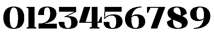 Shapfly Black Font OTHER CHARS