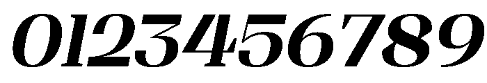 Shapfly Bold Italic Font OTHER CHARS