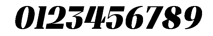 Shapfly Condensed Black Italic Font OTHER CHARS