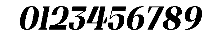 Shapfly Condensed Bold Italic Font OTHER CHARS