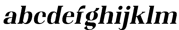 Shapfly Condensed Bold Italic FONT