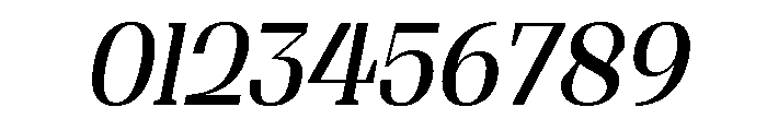 Shapfly Condensed Italic Font OTHER CHARS