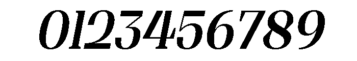 Shapfly Condensed Medium Italic Font OTHER CHARS