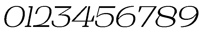 Shapfly Exp ExtLt Ita Font OTHER CHARS