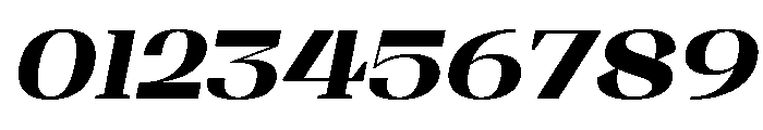 Shapfly Expanded Black Italic Font OTHER CHARS