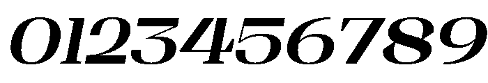 Shapfly Expanded Bold Italic Font OTHER CHARS