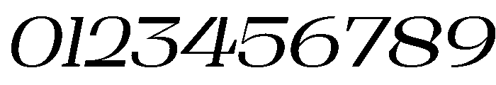 Shapfly Expanded Italic Font OTHER CHARS