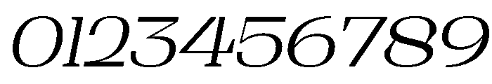 Shapfly Expanded Light Italic Font OTHER CHARS
