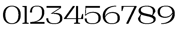 Shapfly Expanded Light Font OTHER CHARS