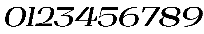 Shapfly Expanded Medium Italic Font OTHER CHARS