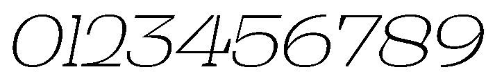 Shapfly Expanded Thin Italic Font OTHER CHARS