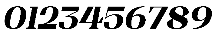 Shapfly Extra Bold Italic Font OTHER CHARS