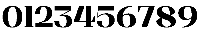Shapfly Extra Bold Font OTHER CHARS