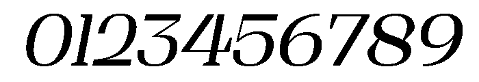 Shapfly Italic Font OTHER CHARS