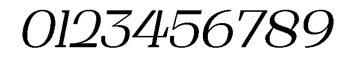 Shapfly Light Italic Font OTHER CHARS