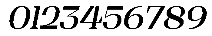 Shapfly Medium Italic Font OTHER CHARS