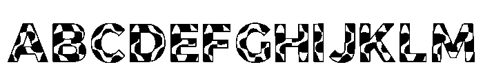 Shard Regular FONT