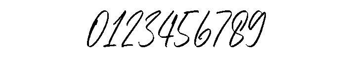 Shelvia Montanila Script Reg Font OTHER CHARS