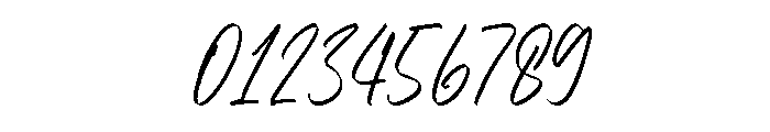 ShelviaMontanilaScript-Reg Font OTHER CHARS