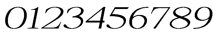 Shequan-ExtLtExpIta Font OTHER CHARS