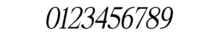 Shequan-LightCondensedItalic Font OTHER CHARS