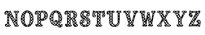 Shirin Regular Font LOWERCASE