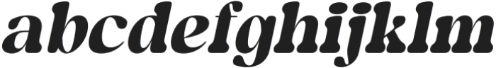 ShagaRounded-Italic otf (400) FONT