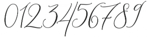 Shailene otf (400) Font OTHER CHARS