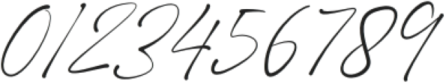 Shamson Signature otf (400) Font OTHER CHARS