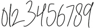 Shelly Signature otf (400) Font OTHER CHARS