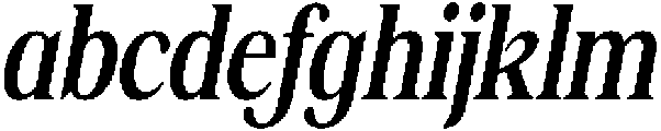 Shequan MediumCondensedItalic otf (500) FONT