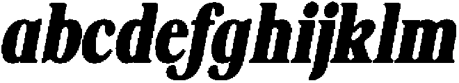 ShequanSoft BlackCondIta otf (900) FONT