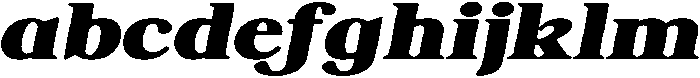 ShequanSoft BlackExpIta otf (900) FONT