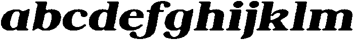 ShequanSoft BoldExpIta otf (700) FONT
